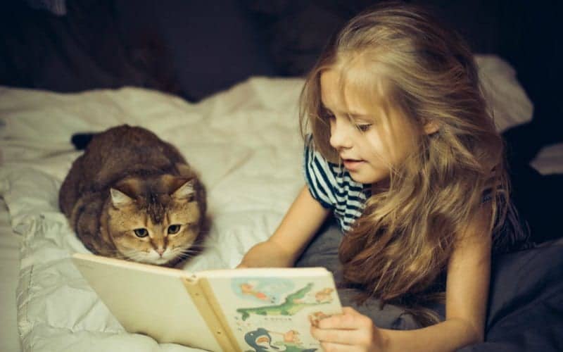 Una niña lee un libro de otoño a su gato. 