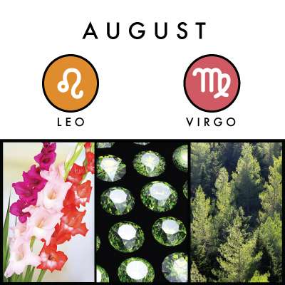 Agosto: Leo y Virgo