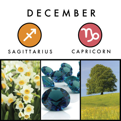 Diciembre: Sagitario y Capricornio