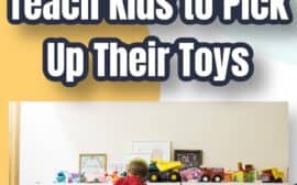 Formas sencillas de enseñar a los niños a coleccionar juguetes