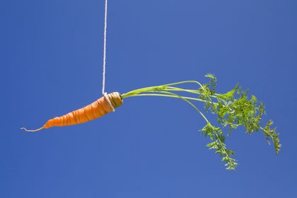 carrot tied to stick as bait or incentive
